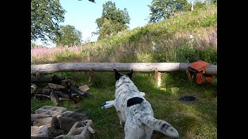 Sequence stop motion