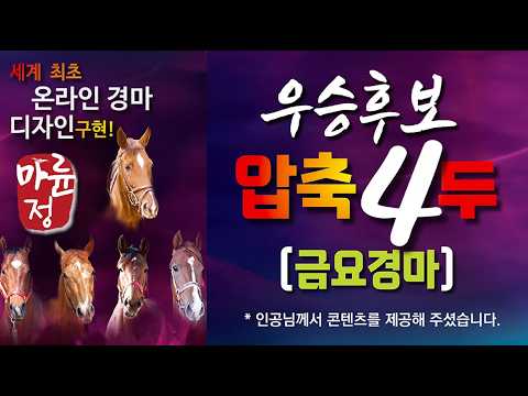 26.02.13 부산경마·제주경마 전체 분석 | 마륜정