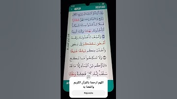 سورة النساء الآية 20 سعد الغامدي