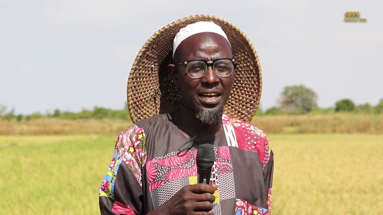 Rice value chain transformation project  Documentary in the Gambia.