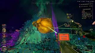GOLDEN LOOT BUG
