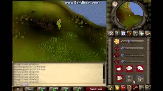 Old School Runescape Tips, Tricks, and Guides [ Where to chop Willows ]