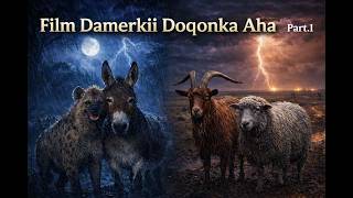 damerkii doqonkq aha