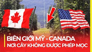 TẠI SAO CÂY KHÔNG ĐƯỢC PHÉP MỌC Ở ĐƯỜNG BIÊN GIỚI MỸ - CANADA?