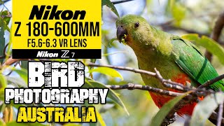 NIkon Z 180-600mm Bird Photography Australia