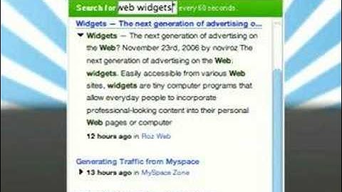 What are Web Widgets? (2/5)