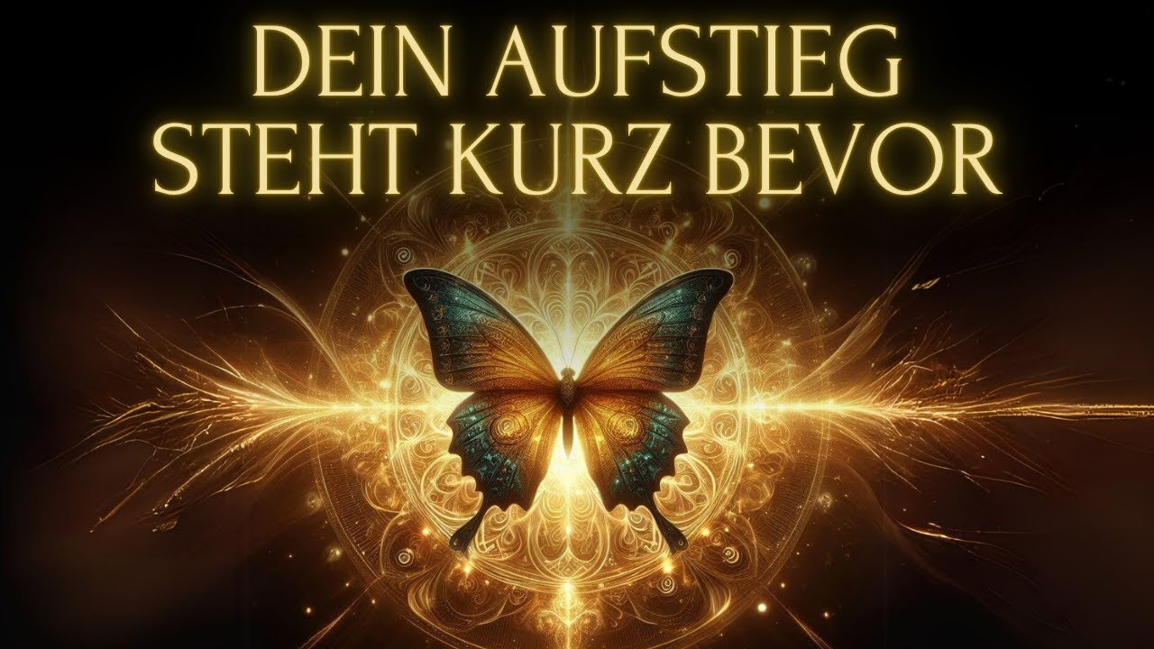 Der Schmetterlingseffekt: WOHLSTAND, GESUNDHEIT & WUNDER werden in Dein Leben kommen 🦋