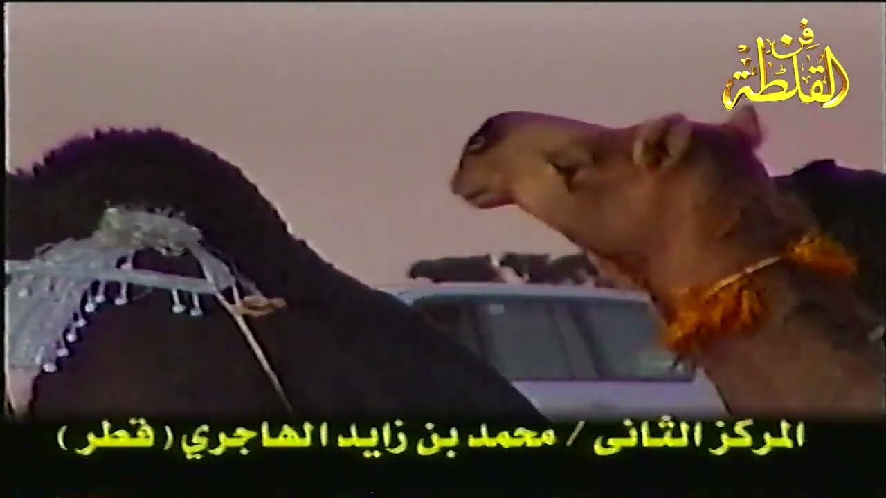 مزاين ام رقيبة ١٤٢٤ هـ