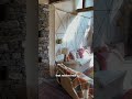 This is a non toxic house