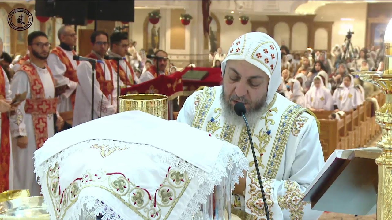 القداس الالهي  - السبت ١٧ يناير ٢٠٢٦ يراس الصلاة نيافة الانبا انيانوس