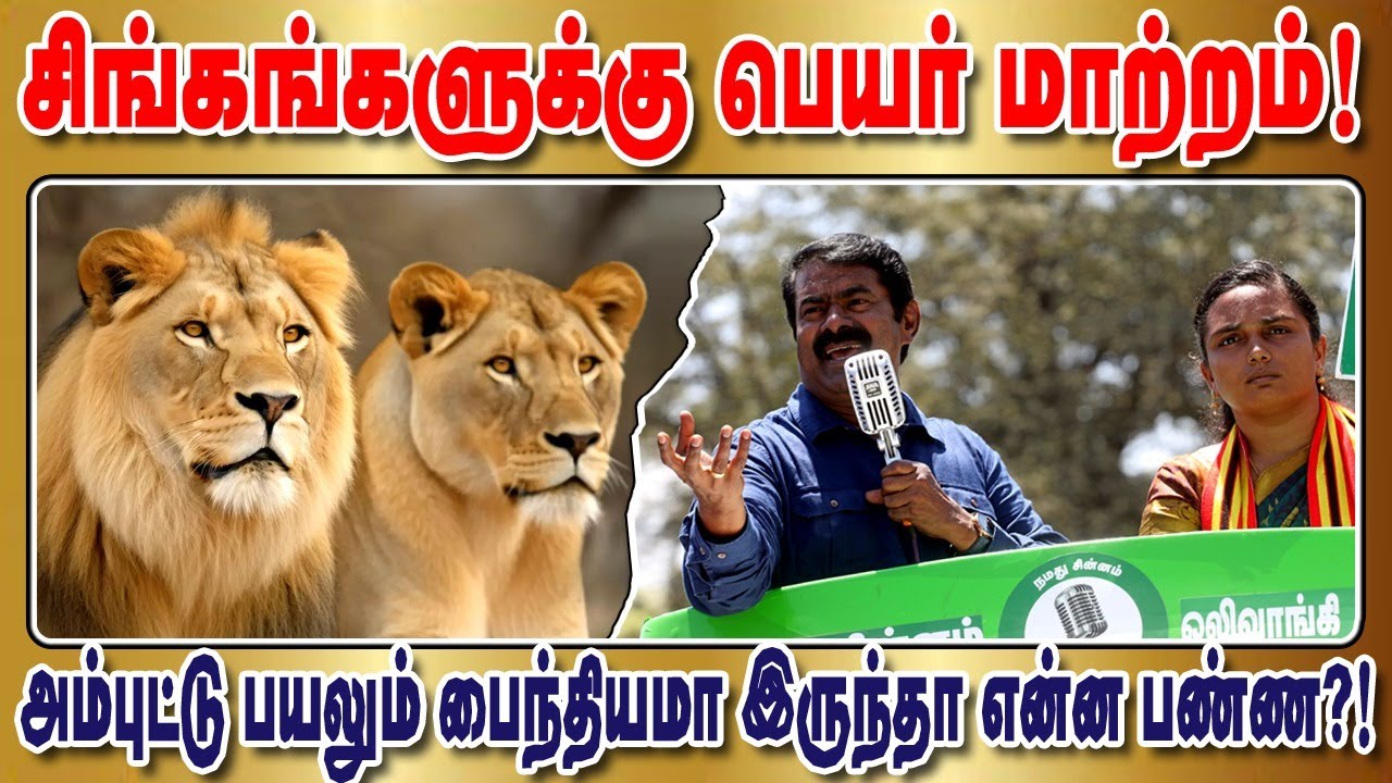 🔴நேரலை 18-05-2024 இன எழுச்சி நாள் - சீமான் செய்தியாளர் சந்திப்பு | சென்னை - தலைமையகம் Pressmeet LIVE