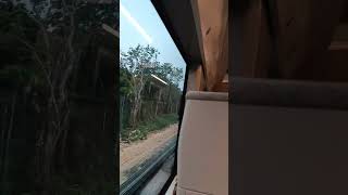 Primer viaje Tren Maya Cancún Campeche #trenmaya #amlo #quintanaroo