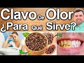 TE DE CLAVO DE OLOR EN AYUNAS - ¿Para Qué Sirve? - Beneficios Para Tu Salud Y Belleza