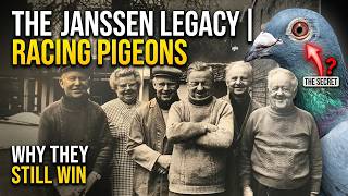 The Janssen Legacy | Why Their Pigeons Still Win