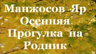 Манжосов Яр Осенняя Прогулка На Родник  Северная  Салтовка  Харьков  Золотая  Осень 2021