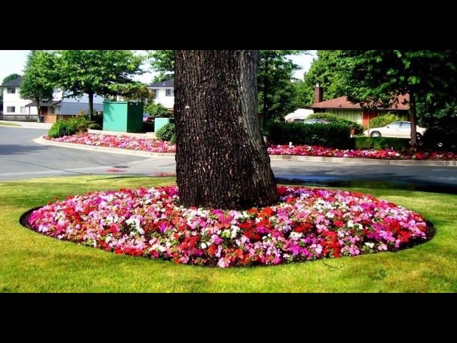Rotating Flower Tree Circle Tree Flower Beds