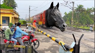 dangerous black horse Balurghat express train at rail gate￼ crossing seen ￼￼