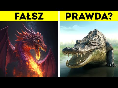 Prawdziwa historia smoków: