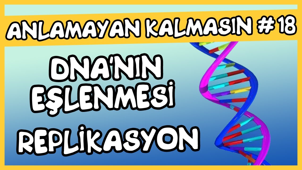 Anlamayan Kalmasın #18 DNA 'nın Eşlenmesi ( Replikasyon)