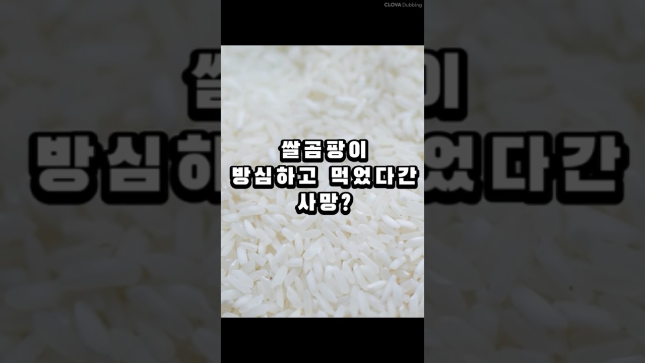 쌀곰팡이 먹었다간 사망할 수 있어요! 