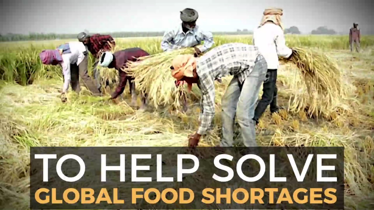 Macroscopes Will Help us Understand Earth's Complexity in Infinite Detail