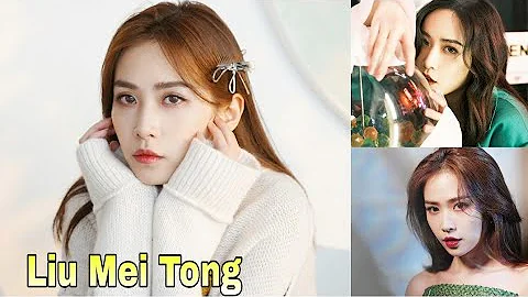 Liu Mei Tong Lifestyle (Amazing Sisters) Biography...