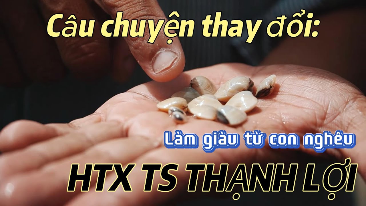 Câu chuyện thay đổi của HTX TS Thạnh Lợi - YouTube