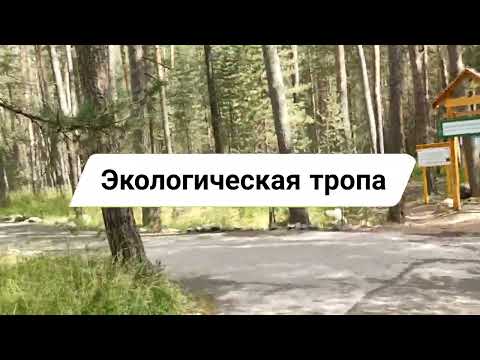 Экологическая тропа