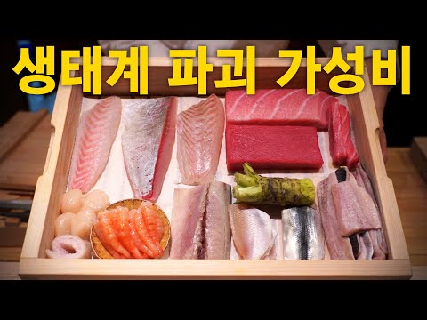 오마카세정준 - 회사랑RawFishEater 유튜브 채널에서 소개된 대표 메뉴 및 매장 전경