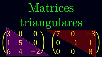 ¡Aprende matrices triangulares en minutos con estos ejemplos!