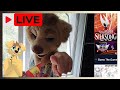 silksong stream! - fursuit and furry vtuber