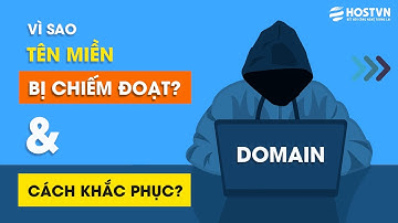 Tên miền thương hiệu thường bị chiếm đoạt bởi những nguyên nhân nào? | HOSTVN