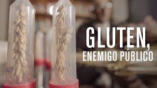 GLUTEN ENEMIGO PÚBLICO (DOCUMENTAL LA NOCHE TEMÁTICA)