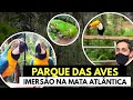 Parque das Aves - Imersão COMPLETA!!! (com pandemia em 2021)