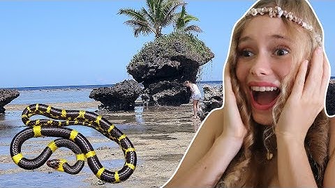 Creepy tide pool creatures! ADVENTURE FOR KIDS