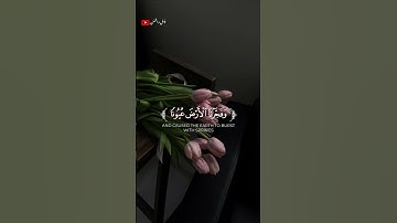 تلاوة خاشعة للشيخ احمد النفيس 🎧❤️‍🩹 #أرح_سمعك_وقلبك #اكسبلور #طمئن_قلبك #احمد_النفيس #راحة_نفسية