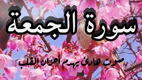 سورة الجمعة (صوت هادئ يهدم أحزان القلب)