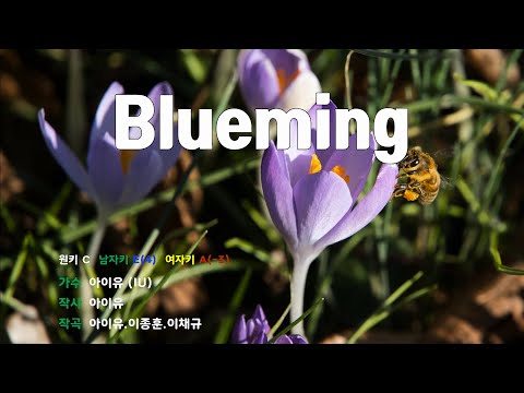 [은성반주기] 블루밍(Blueming) - 아이유(IU) /MR/가사