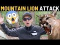 My Terrifying Encounter with a Mountain Lion!!!