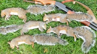 Small Game Hunting #23: 5 Gray Squirrels by 12 Ga. Shotgun