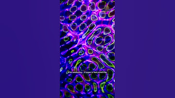 The Emotion – When AI Learned to Feel (Part 3) #shorts