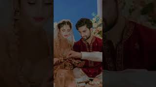 Sejal Ali Khan Stani Actress With Her Husband