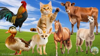Lovely Animal Sounds Around Us: Cat, Duck, Fennec Fox, Horse, Alpaca, Horse - Soothing Music