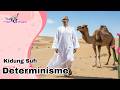 🎼 🪕 “Determinisme” @transformasikesadaran #sufi #tasawuff #spiritual