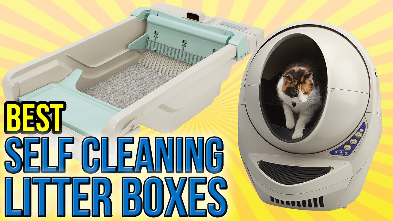 7 Best Self Cleaning Litter Boxes 2016 - YouTube