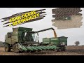 Wydajny zbiór kukurydzy. John Deere T670i i przystawka 8-rzędowa Geringhoff Mais Star Horizon