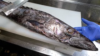 Filleting a Fish That Looks Like a Zombie...