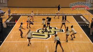 Middle Hitter: Next Level Training - Todd Dagenais