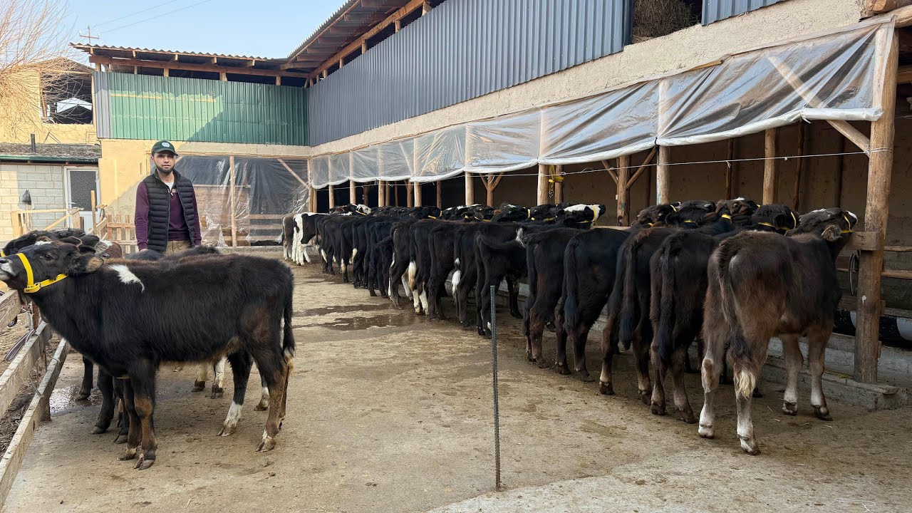 🥇AFSONAVIY ABDUIKROMNI SOGINGANLAR UCHUN MEGA. AKSIYA💥