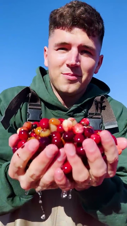 Cranberry Sauce (ft. Lynja)